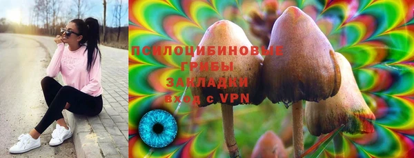 a pvp Алексеевка